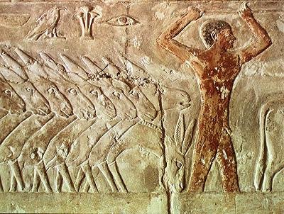Troop of Donkeys, from the Mastaba of Mereruka, Old Kingdom by Egyptian 6th Dynasty Egyptian 6th Dynasty
