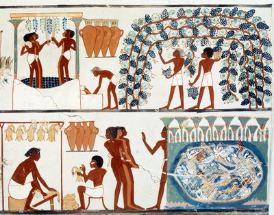 Picking and Treading Grapes by Egyptian Egyptian