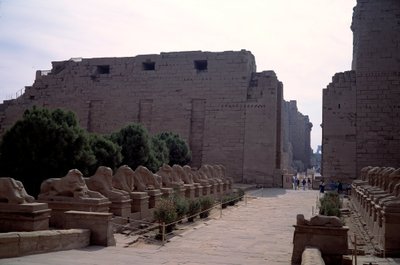 Allee of the Criosphinx in Karnak, Luxor, Egypt by Egyptian Egyptian