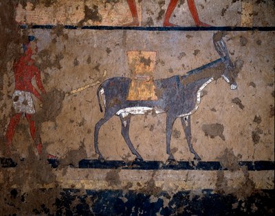 The Transport of Grain on the Back of a Mule by Egyptian Egyptian