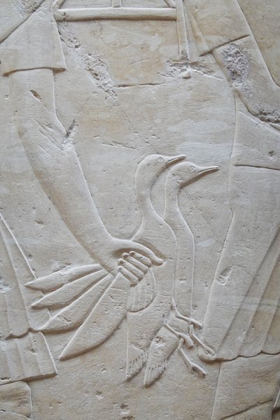 Hand holding 2 geese by the wings, Ramose
