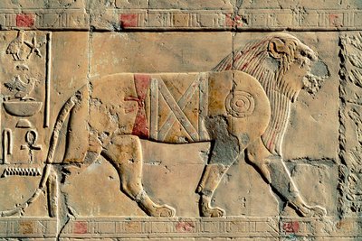 Lion, Senenmut, Temple of Hatshepsut, Dayr al-Bahri, Egypt by Egyptian Egyptian