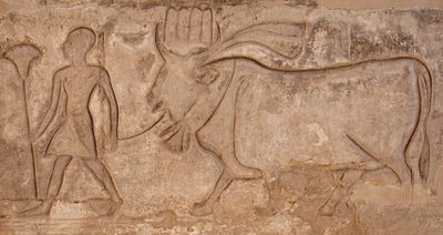 Man Pulling a Cow, Horus Temple, Edfu by Egyptian Egyptian