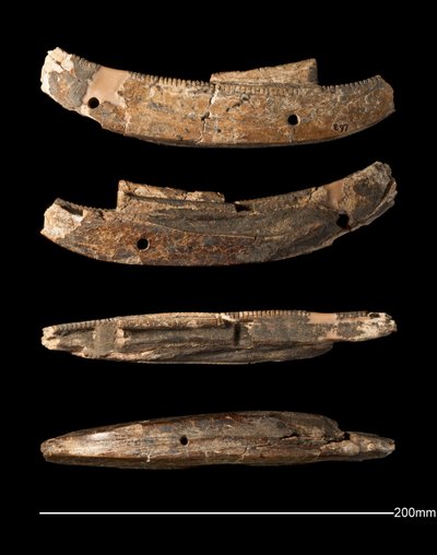 Model boat, Hierakonpolis, Early Dynastic Period (c. 2950 - c. 2575 BC) by Egyptian Egyptian