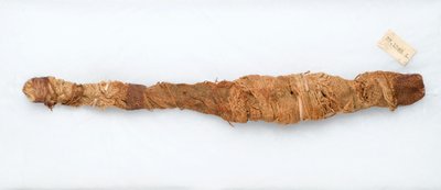Mummy of a crocodile, found in Manfalont, 305-30 BC by Egyptian Ptolemaic Period