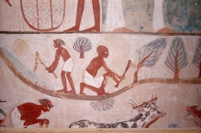 Scene of agriculture (mowing and cutting wood), from the Tomb of Scribe Menna, Egypt, Sheikh Abd el-Qurna, Valley of the Nobles by Egyptian School