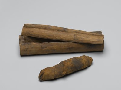 Small coffin of snake, with mummy, 664 BC-322 BC by Egyptian School