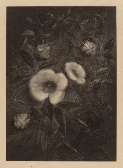 Wild Roses by Elbridge Kingsley