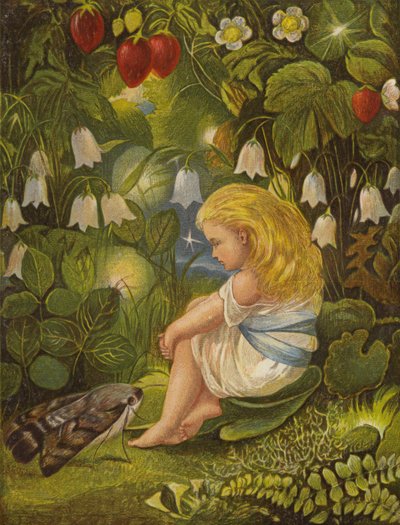 The Gossip with the Fireflies by Eleanor Fortescue Brickdale