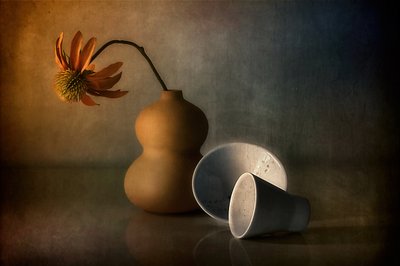Moody Still Life Reflection by Elena Arjona