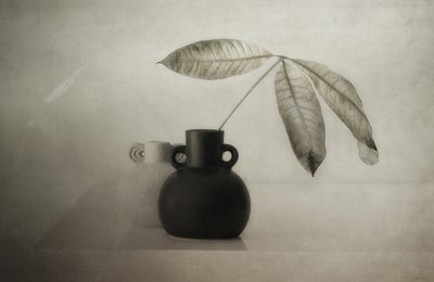 Serene Botanical Still Life by Elena Arjona