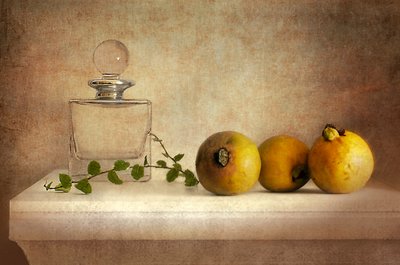 Vintage Guava Still Life by Elena Arjona