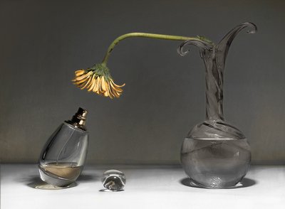 Wilted Flower Still Life by Elena Arjona