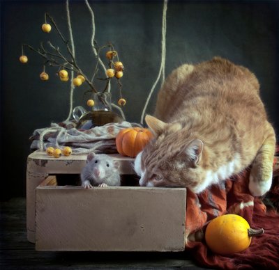 Curious Autumn Critters by Eleonora Grigorjeva
