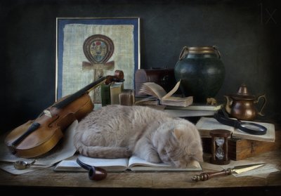 Sleeping Cat