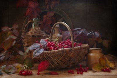Still Life with Scarlet Viburnum Autumn Branches and Berries in Vintage Style by Eleonora Grigorjeva