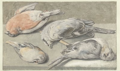 Still Life with Four Dead Birds by Elias Vonck