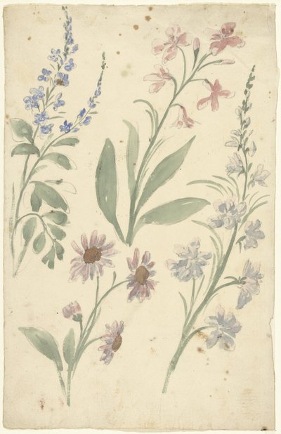 Four Studies of Pink and Blue Flowers by Elias van Nijmegen