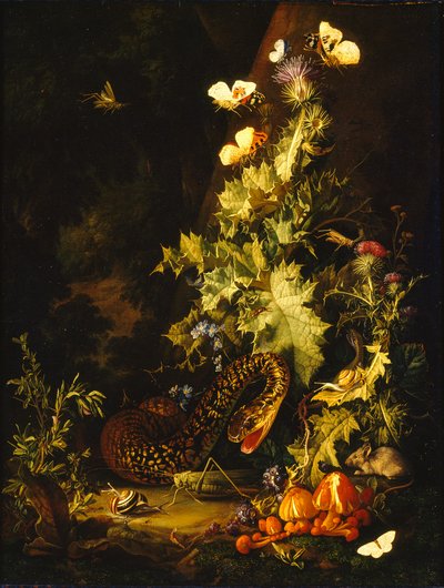 Still Life with a Snake, early 18th century by Elias van den Broeck