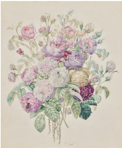 A Bouquet of Bourbon Roses by Elisa-Emilie Lemire