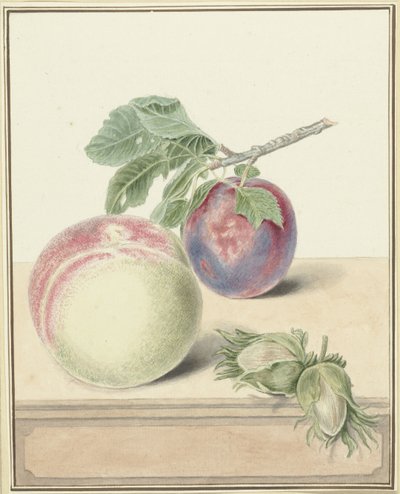 Peach, a Plum with Leaf, and a Few Nuts by Elisabeth Geertruida van de Kasteele