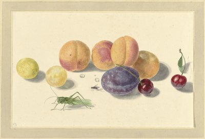Peaches, Plums, Cherries, and Two Insects by Elisabeth Geertruida van de Kasteele