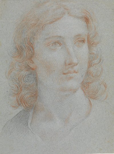 Head of a Young Man by Elisabetta Sirani
