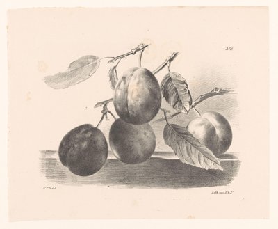 Plums on Branches by Elise Therèse Daiwaille