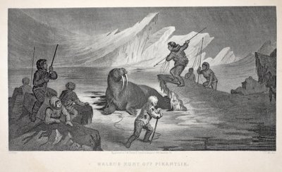 Walrus Hunt off Pikantlik, Illustration from 