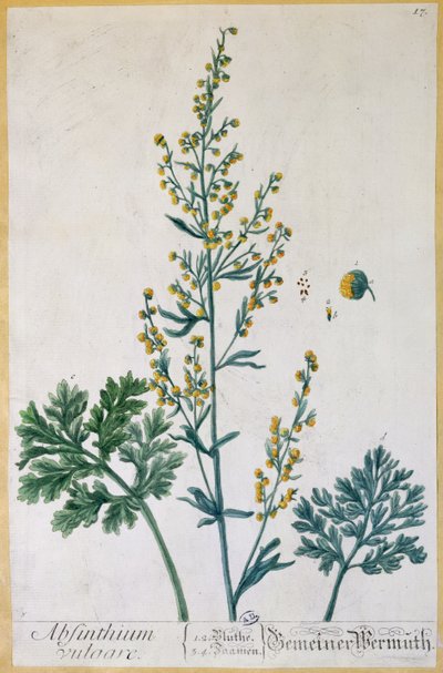 Absinthe, plate from 