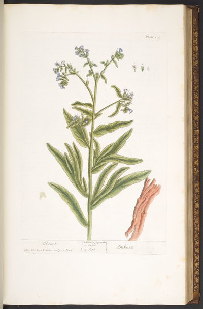 Plate 112, from 
