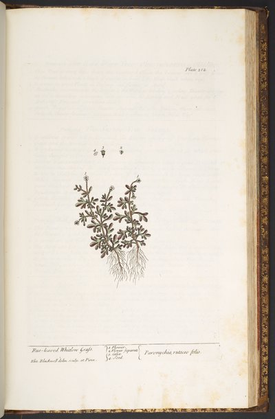 Plate 212, from 