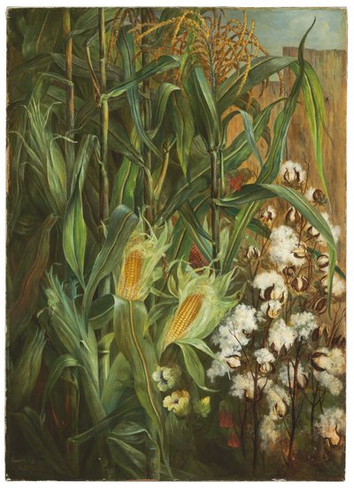The Two Kings: Corn and Cotton by Elizabeth H. Remington