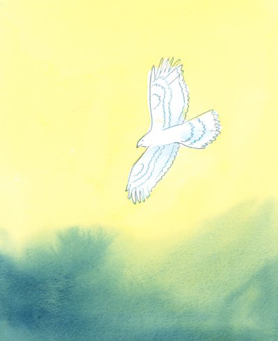In His justice, God is like a huge bird of prey, who sees from afar the tiniest creature on earth and all its movements by Elizabeth Wang