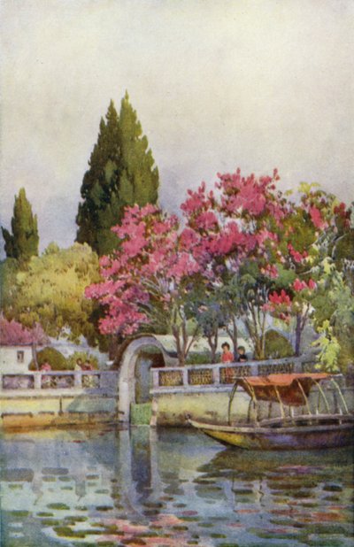 A Garden by the Lake, Lake Orta by Ella Du Cane