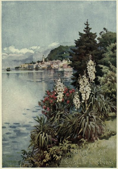 A Group of Yuccas, Villa Melzi, Lago di Como, Illustration from 
