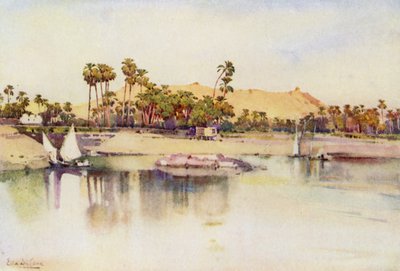 Elephantine Island by Ella Du Cane