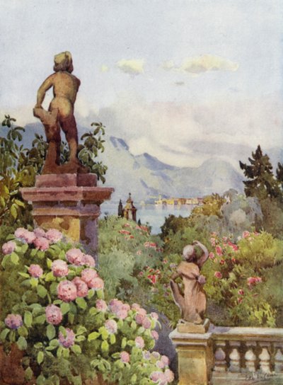 Hydrangeas, Isola Bella, Lake Maggiore by Ella Du Cane