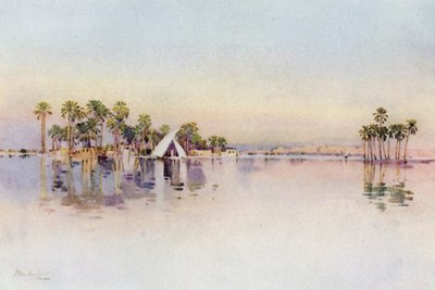 The Citadel from the inundated land at the base of the Pyramids by Ella Du Cane