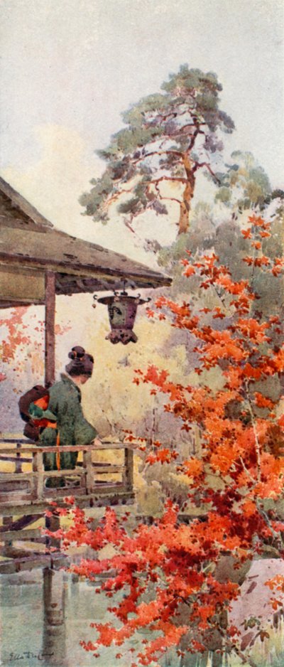 Viewing the Maples by Ella Du Cane