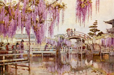 Wistaria, Kameido by Ella Du Cane