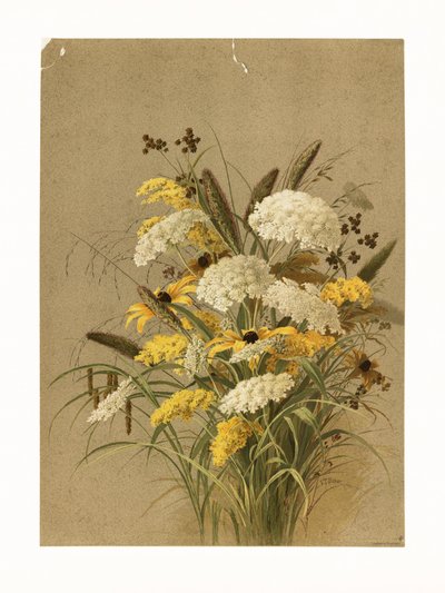 Hemlock, Ox Eye Grasses and Golden Rod by Ellen Thayer Fisher