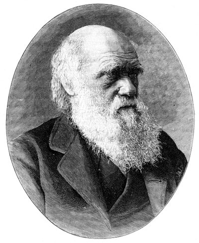 Charles Darwin, English Naturalist by Elliott and Fry