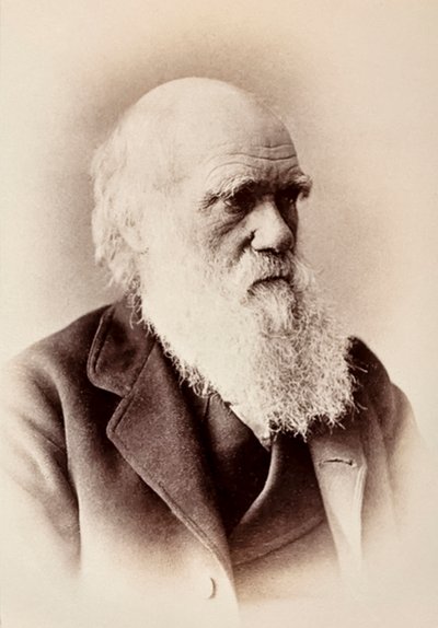 Charles Darwin: English Naturalist by Elliott und Fry Studio