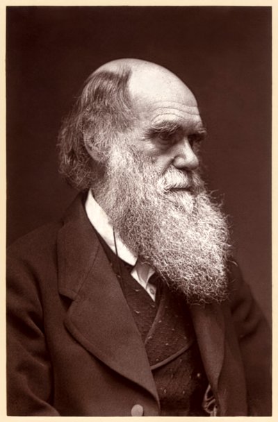Charles Darwin: English Naturalist by Elliott und Fry Studio