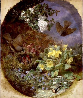 Wrens Feeding Their Young in a Nest by Eloise Harriet Stannard