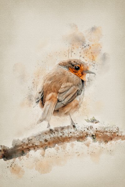 Gentle Watercolor Robin by Ema Paraschiv