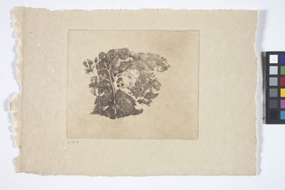Tree Study by Emil Carlsen