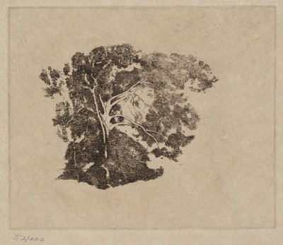 Tree Study by Emil Carlsen