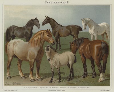 Horse Breeds by Emil Volkers